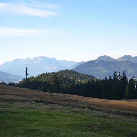 Holiday home Dum Leogang