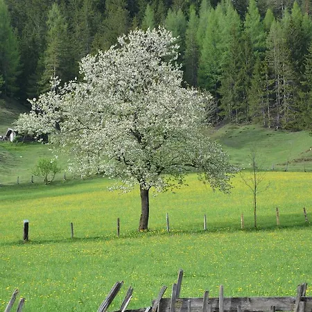 Dum Leogang