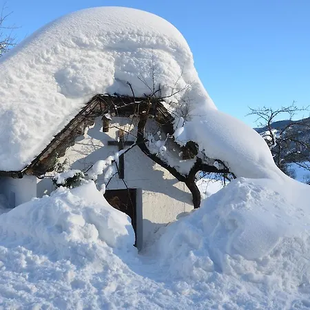 杜姆度假屋 莱奥冈